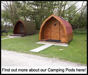 Midweek Camping from Â£12 per night